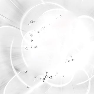 白色简洁花朵背景图高清