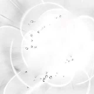 白色简洁花朵背景图高清