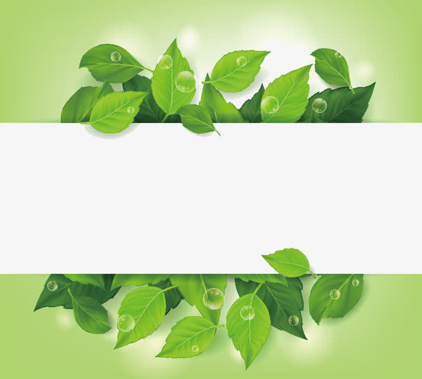 精美绿叶花纹边框设计矢量素材免抠
