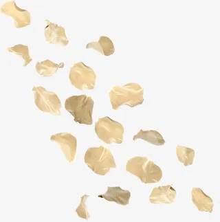 水墨花瓣玫瑰花瓣免抠