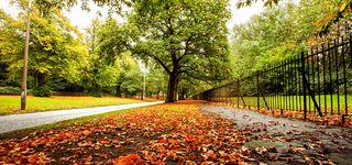 城市公园背景高清