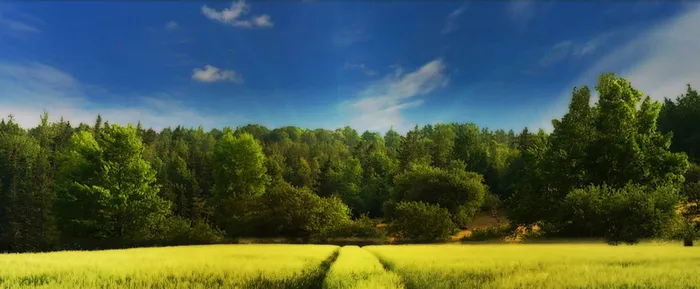 风景banner背景高清