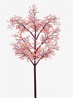 树开满红色花朵的树免抠