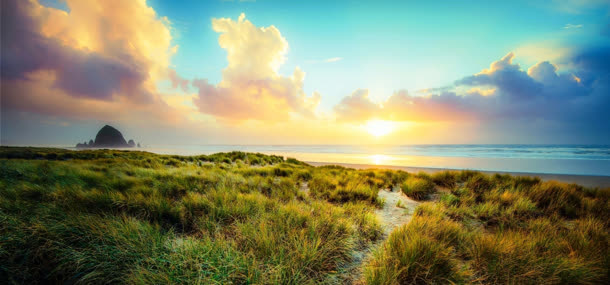 天空大海草地背景免抠