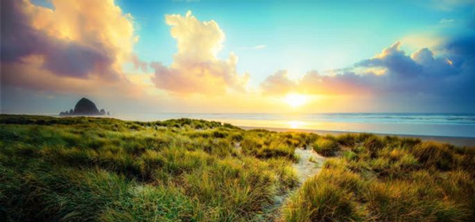 天空大海草地背景免抠