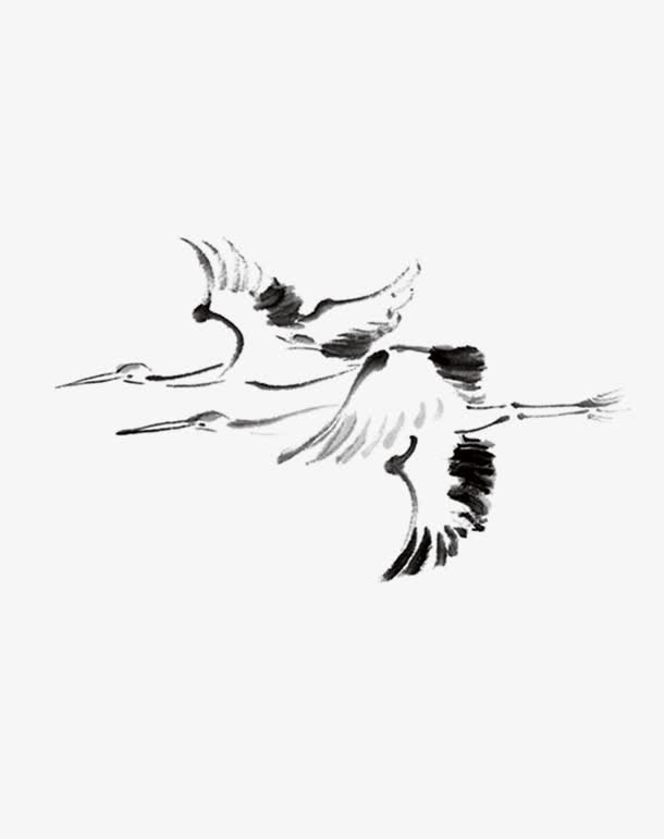 白鸽免抠