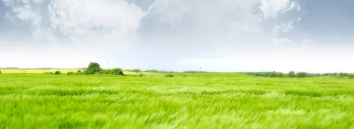 风景背景高清