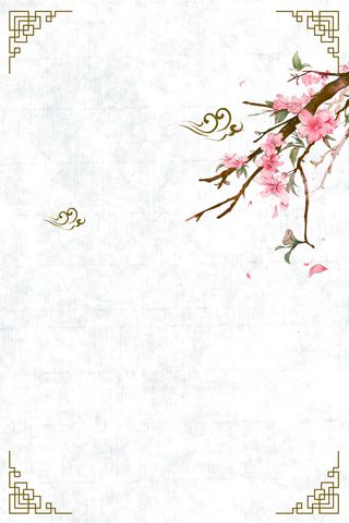 中国风淡绿纹理边框梅花海报背景素材高清