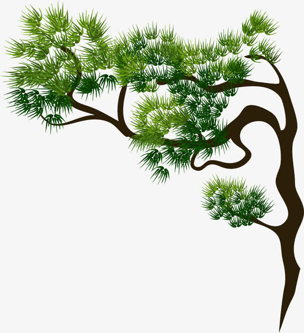 矢量手绘松树免抠