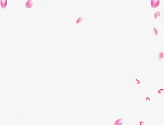 粉色玫瑰花瓣飞舞免抠