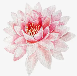 手绘卡通装饰花瓣花草装饰海报设免抠