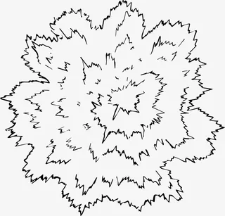 树木树冠枝叶黑白风手绘线稿平面免抠