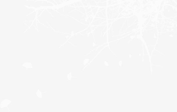 手绘白色唯美树枝美景免抠