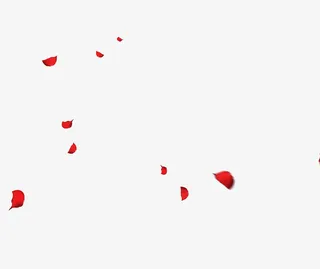 好看的玫瑰花瓣免抠