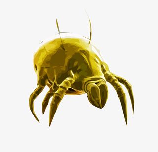 AI矢量螨虫免抠