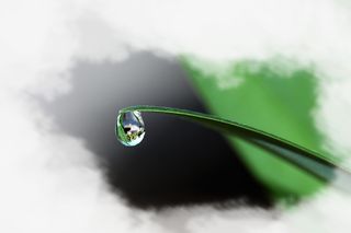 春天绿色水滴小草免抠