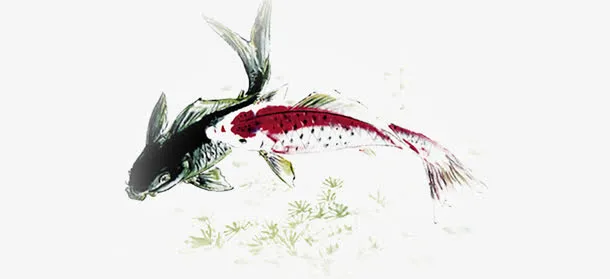 彩色水墨鱼免抠