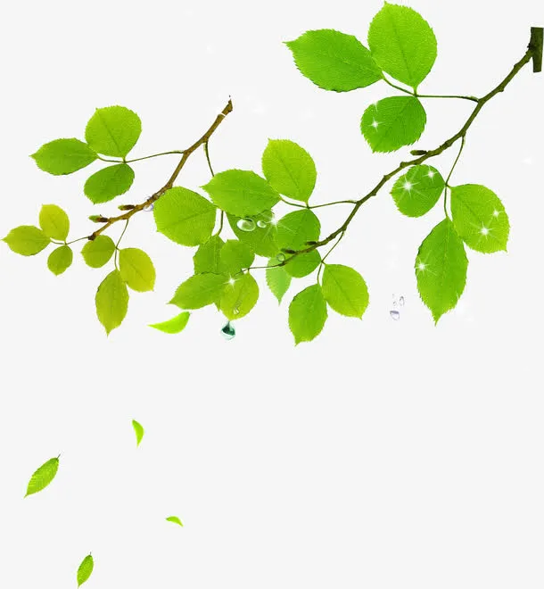 春天卡通绿色树叶风景免抠