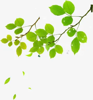 春天卡通绿色树叶风景免抠