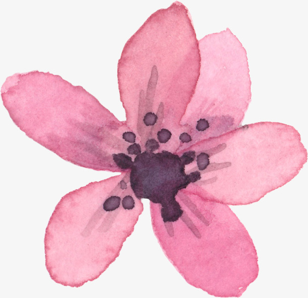 漂浮花朵免抠