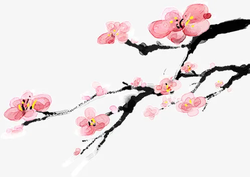 美丽的梅花免抠