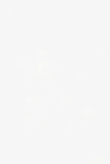 漂浮白色雪花免抠