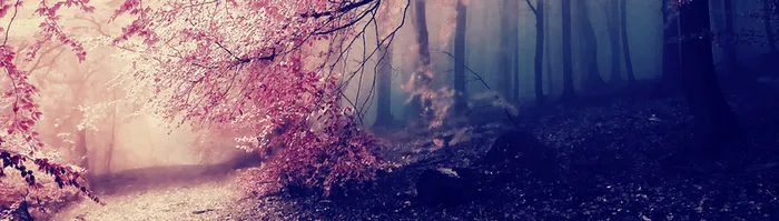 奇幻森林背景高清