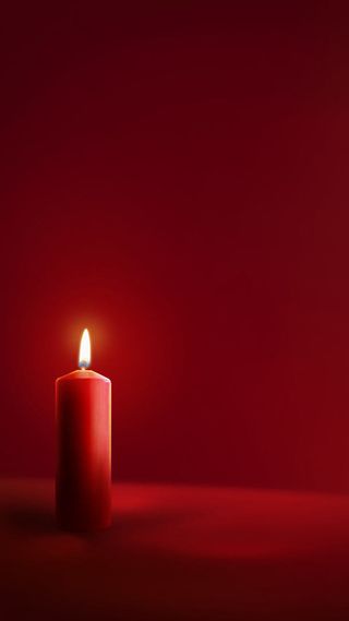 圣诞蜡烛摄影免抠