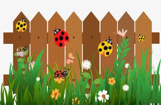 栅栏上的七星瓢虫免抠