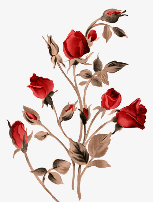 花免抠