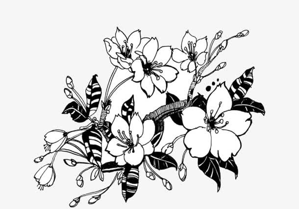 樱花图案免抠