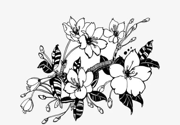 樱花图案免抠