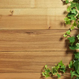 绿叶木板纹理背景图高清
