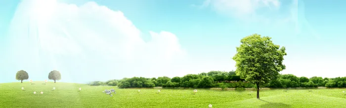 春天踏青清新草坪背景banner高清