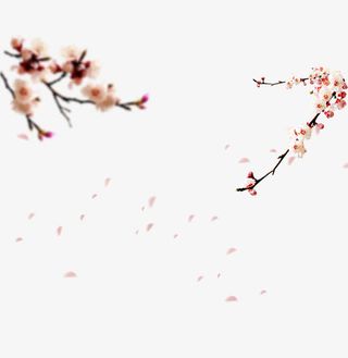 梅花落叶素材免抠