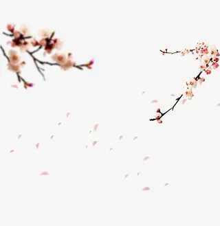 梅花落叶素材免抠