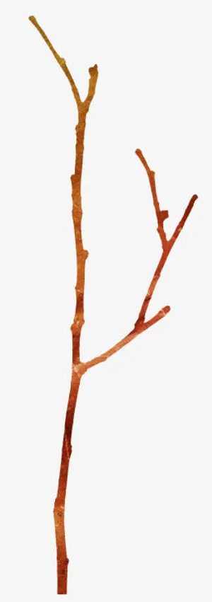 树枝免抠