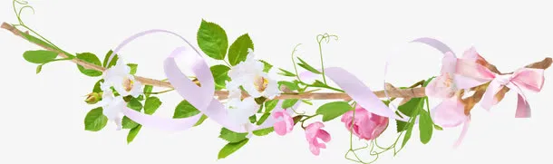 藤蔓免抠
