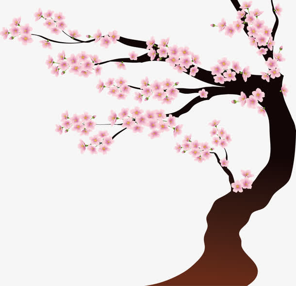 梅花免抠