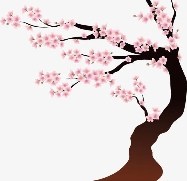 梅花免抠