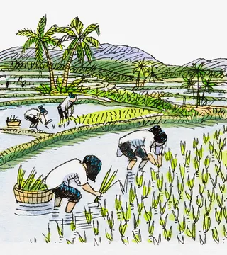 手绘插图农地插秧农忙场景免抠