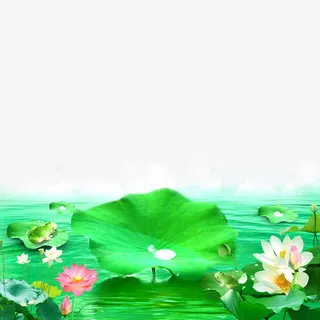 池塘荷花免抠