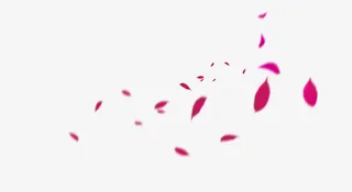 红色树叶落叶漂浮素材免抠