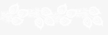 古典花纹复古花纹图片免抠