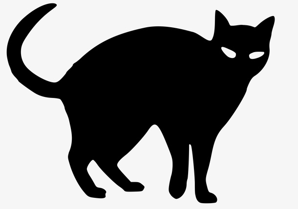 万圣节黑色小猫元素免抠