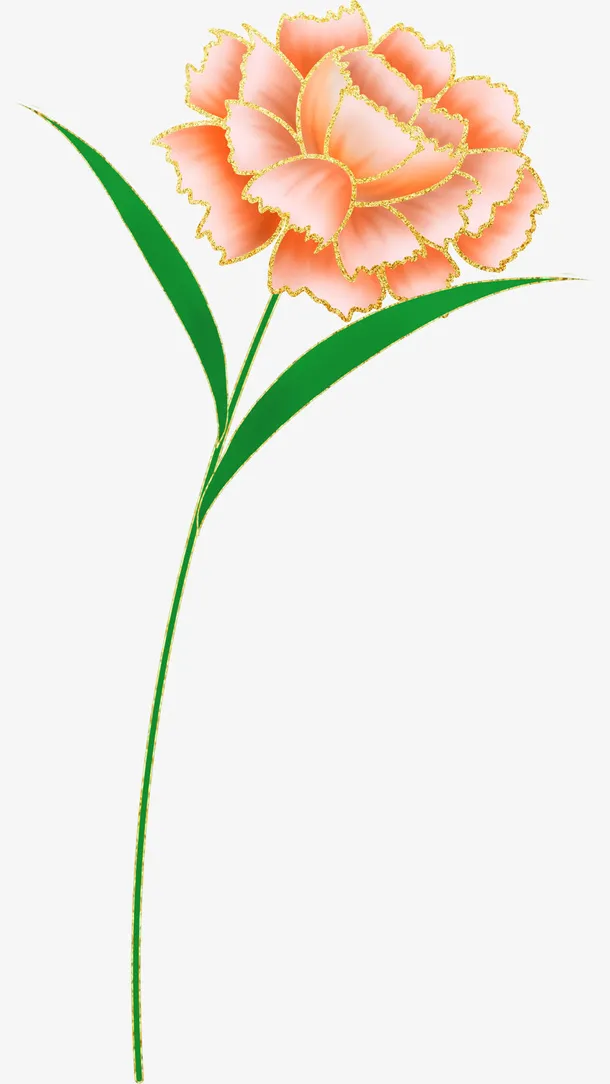 女神节一支康乃馨免抠