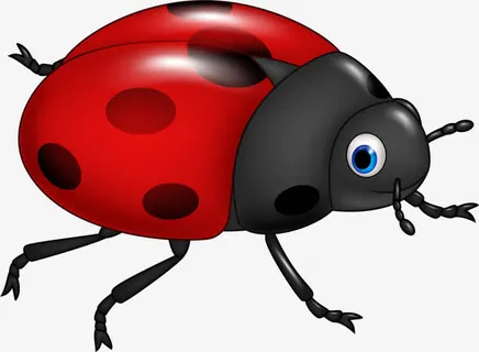 可爱七星瓢虫免抠