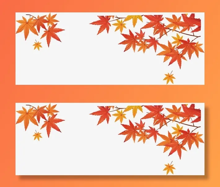 红叶枫叶免抠