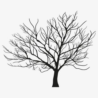 枯树 无叶 树木免抠