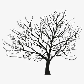 枯树 无叶 树木免抠 枯树 无叶 树木免抠
